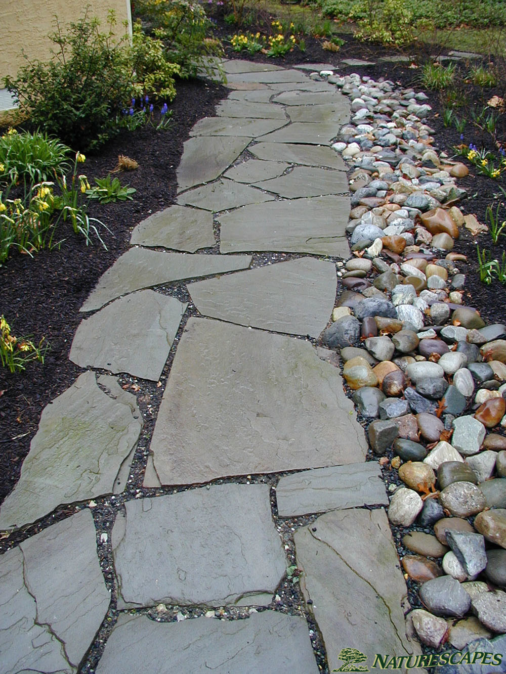 Pathway with River Rock - Naturescapes