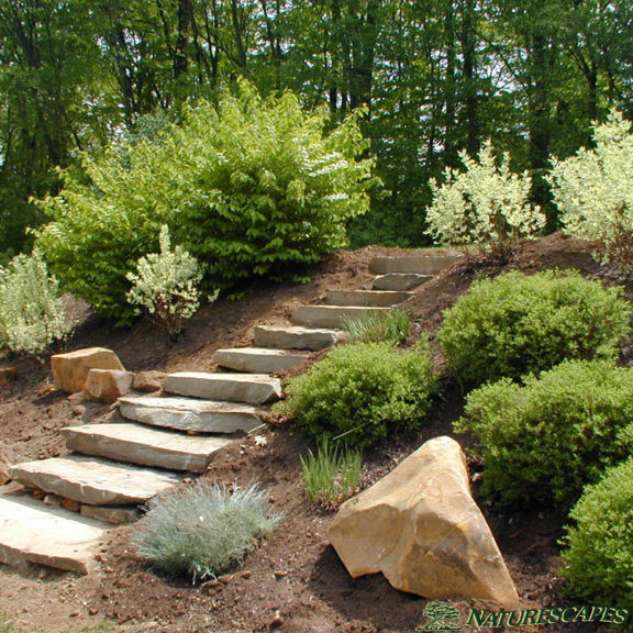 Flagstone Walkways & Pathways | Naturescapes Landscape Specialists