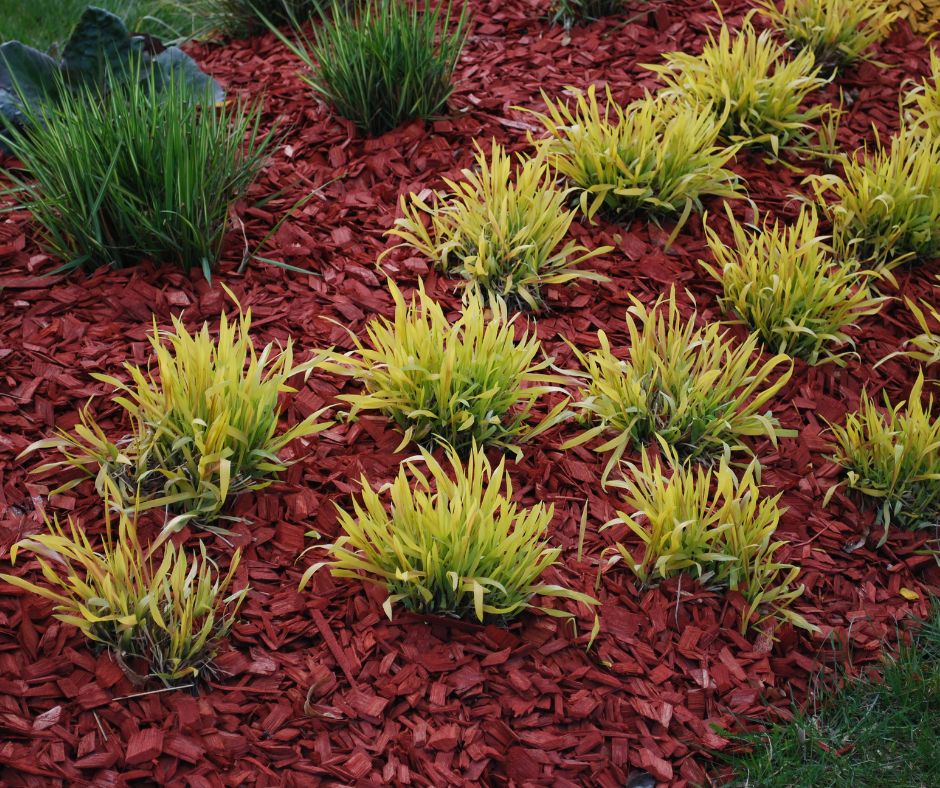 Why Not to Use Dyed Mulch - Naturescapes